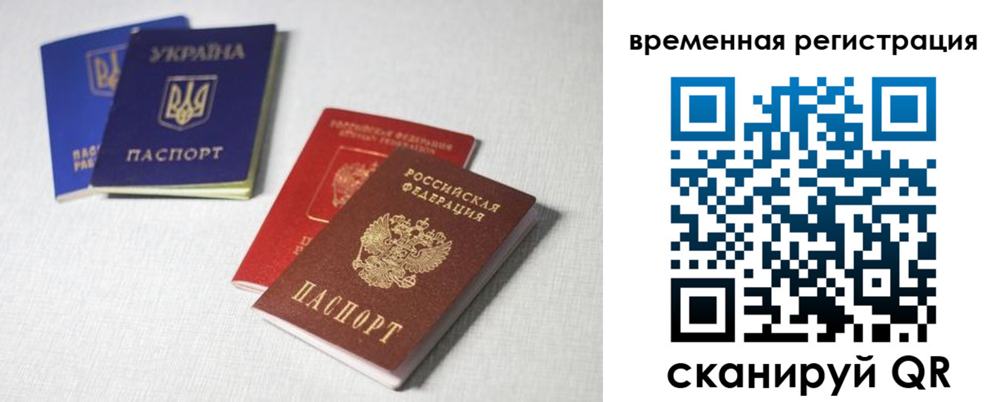 прописка 2025 в Светогорске